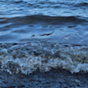 Meet your Posher, Angelina